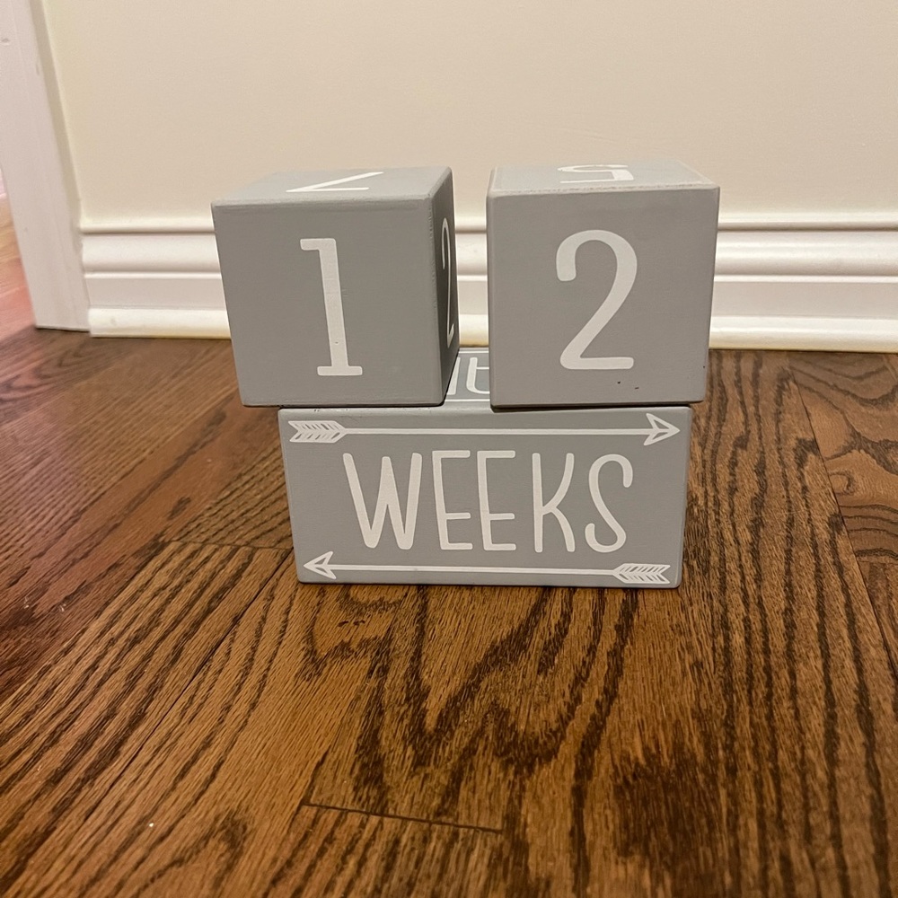 The PeanutShell™ 3-Piece Milestone Block Set in Grey/White